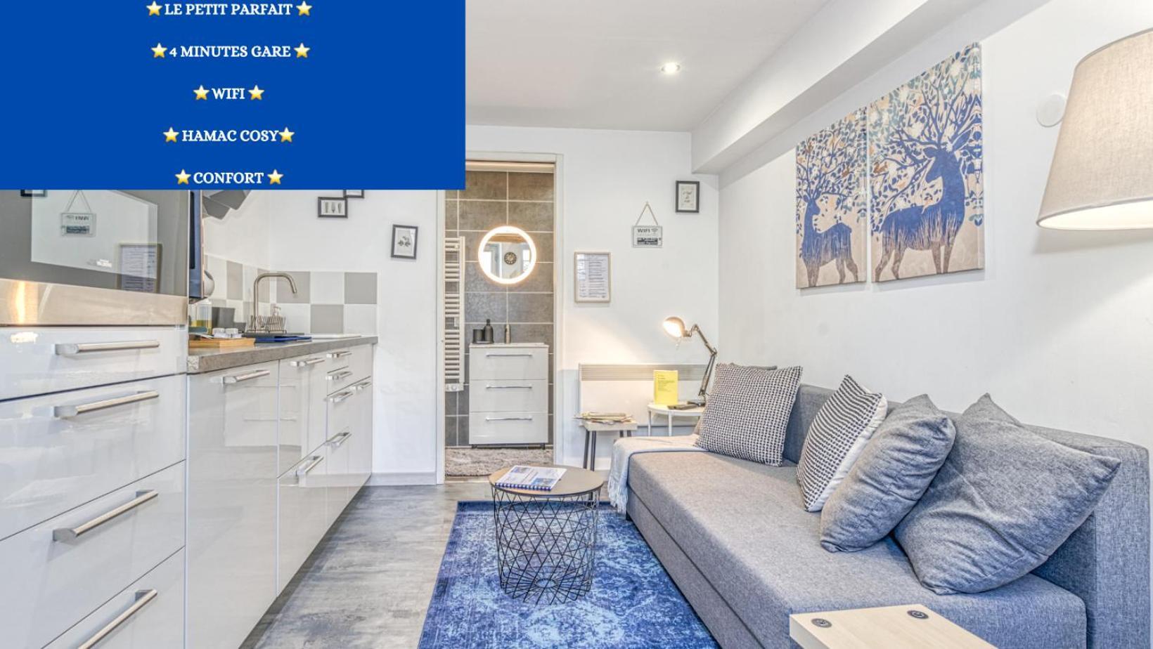 Le Petit Parfait Confort Gare Hamac Netflix Grenoble Exterior photo